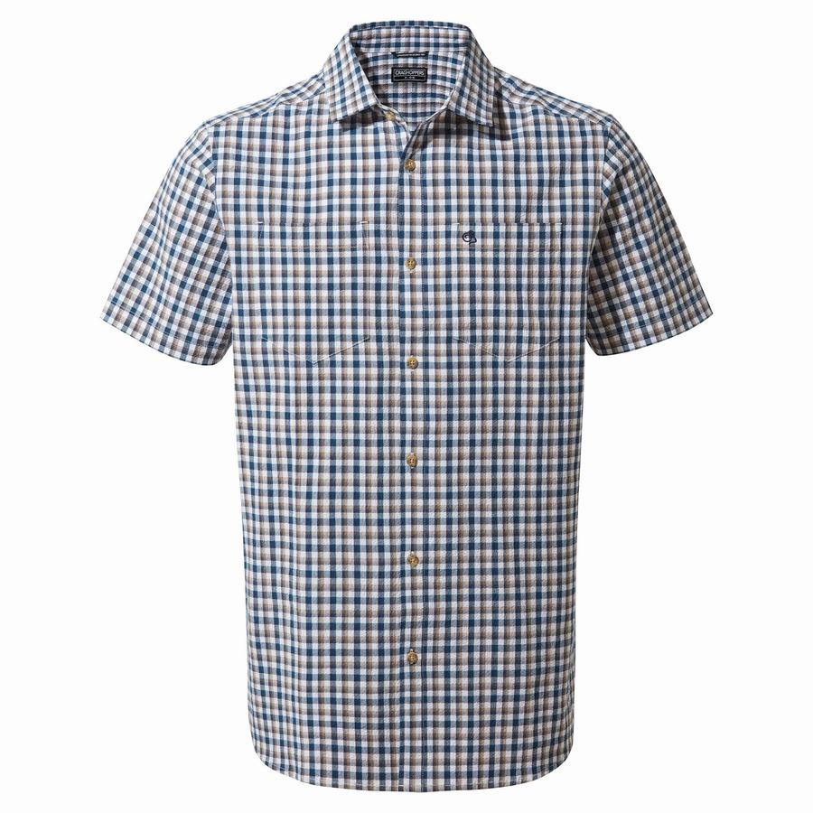 Blue Navy Craghoppers Nour Short Sleeved Check Men\'s Shirts | QHH835RT