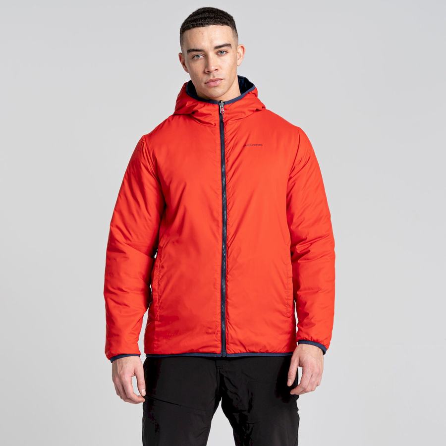 Blue Navy Red Craghoppers Compresslite VI Hooded Men's Jackets | VQJ3950GH