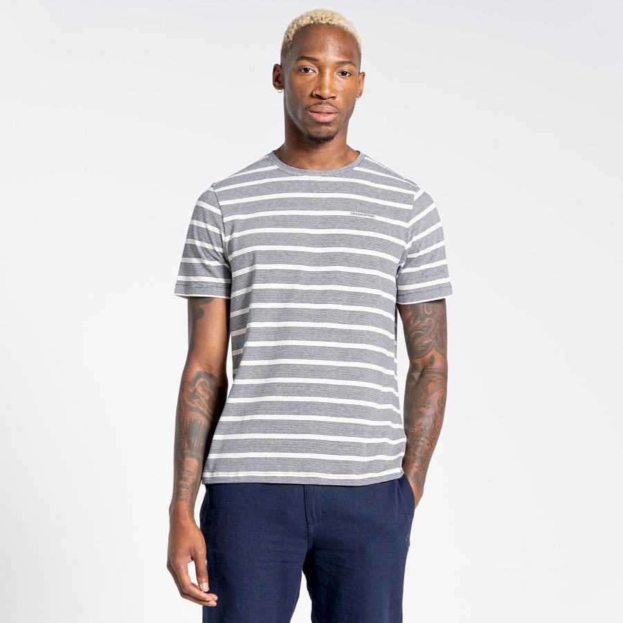 Blue Navy Stripes Craghoppers Nosibotanical Sten Short Sleeved Men's T-Shirts | OLO826KC