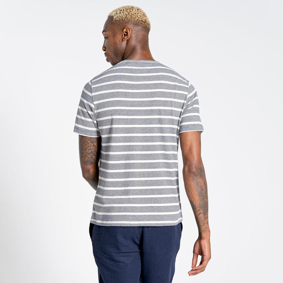 Blue Navy Stripes Craghoppers Nosibotanical Sten Short Sleeved Men's T-Shirts | OLO826KC