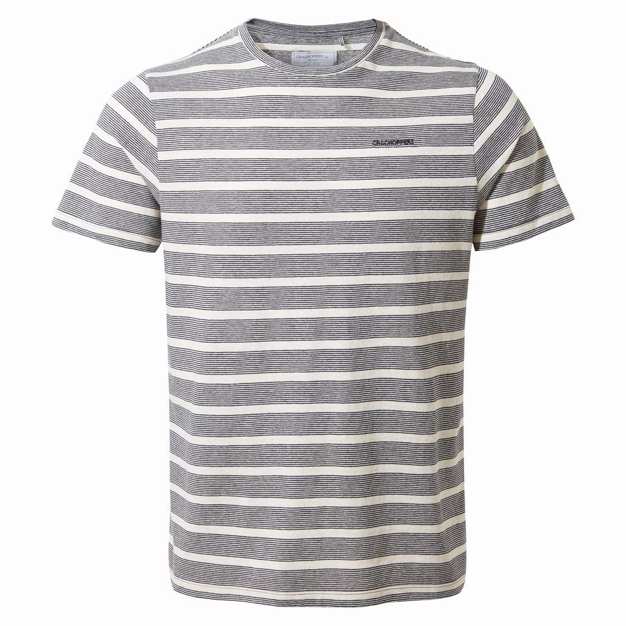 Blue Navy Stripes Craghoppers Nosibotanical Sten Short Sleeved Men's T-Shirts | OLO826KC