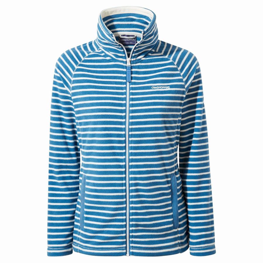 Blue Stripes Craghoppers Ella Women's Sweaters | SWL7568LT