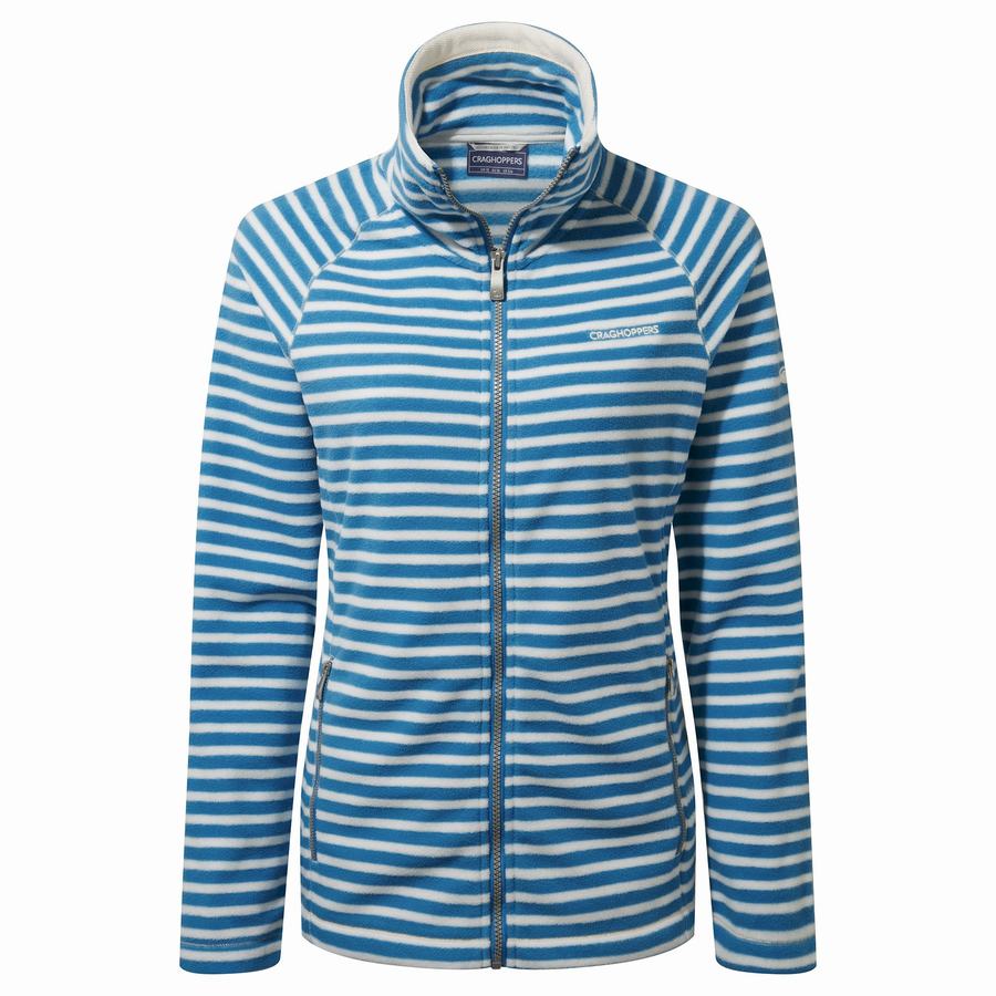 Blue Stripes Craghoppers Natalia Women's Sweaters | SAC4035PU