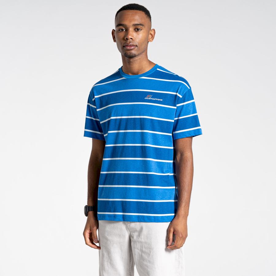 Blue Stripes Craghoppers Ventura Short Sleeved Men's T-Shirts | HPI7241BA