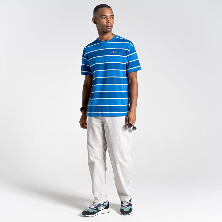 Blue Stripes Craghoppers Ventura Short Sleeved Men's T-Shirts | HPI7241BA