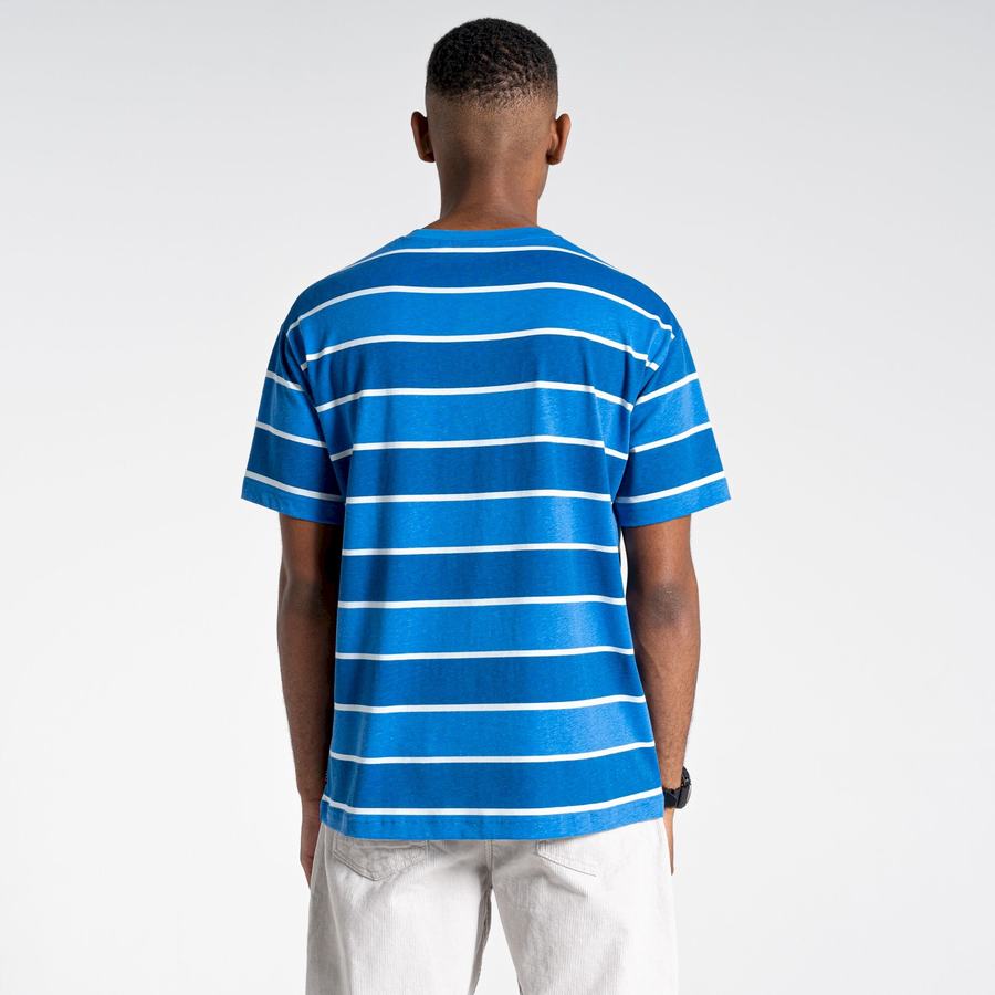 Blue Stripes Craghoppers Ventura Short Sleeved Men's T-Shirts | HPI7241BA