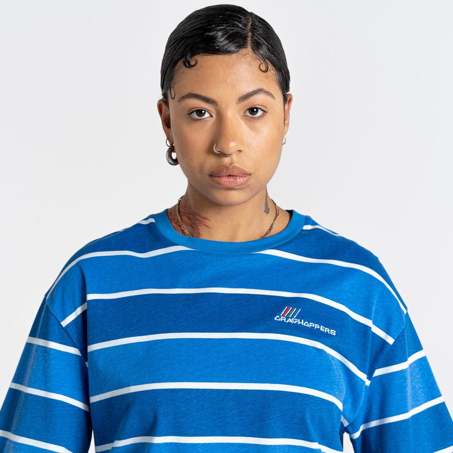 Blue Stripes Craghoppers Ventura Short Sleeved Men's T-Shirts | HPI7241BA