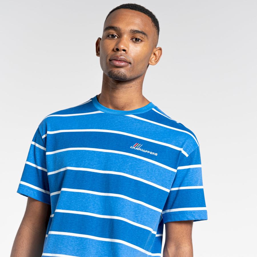 Blue Stripes Craghoppers Ventura Short Sleeved Men's T-Shirts | HPI7241BA