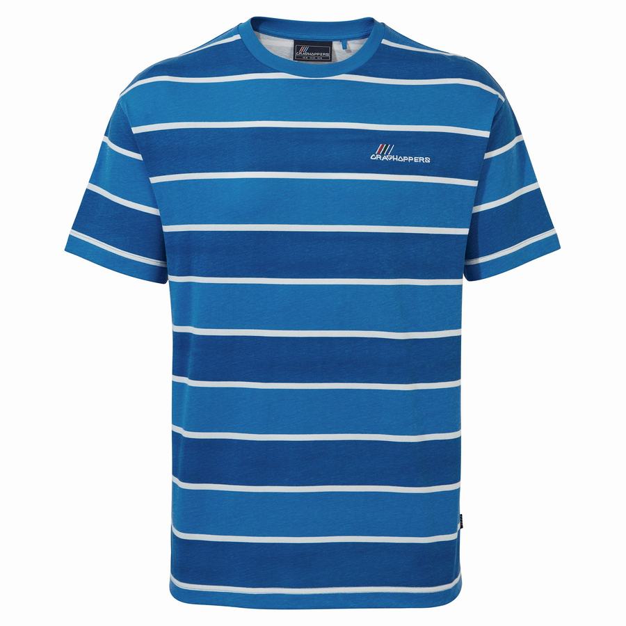 Blue Stripes Craghoppers Ventura Short Sleeved Men's T-Shirts | HPI7241BA