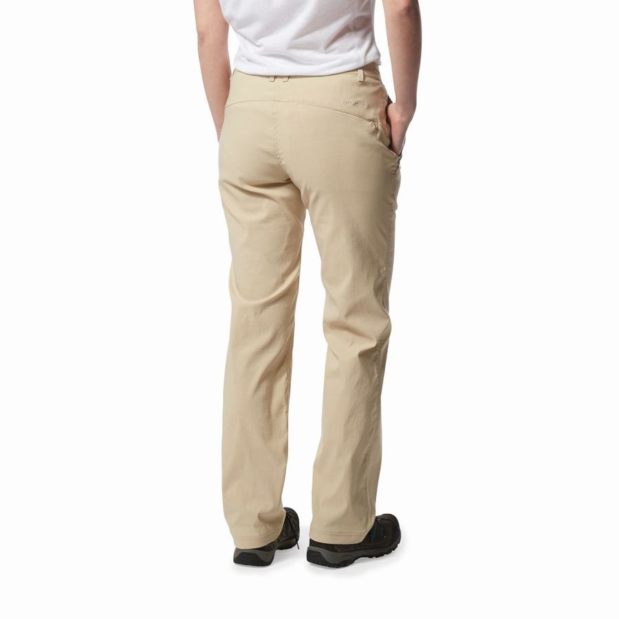 Brown Craghoppers Kiwi Pro II Women's Trousers | PNI6374XF