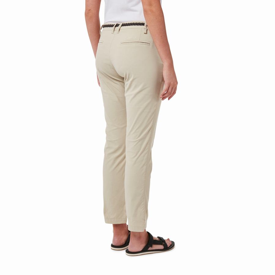 Brown Craghoppers NosiLife Briar Women's Trousers | TLV7023DZ