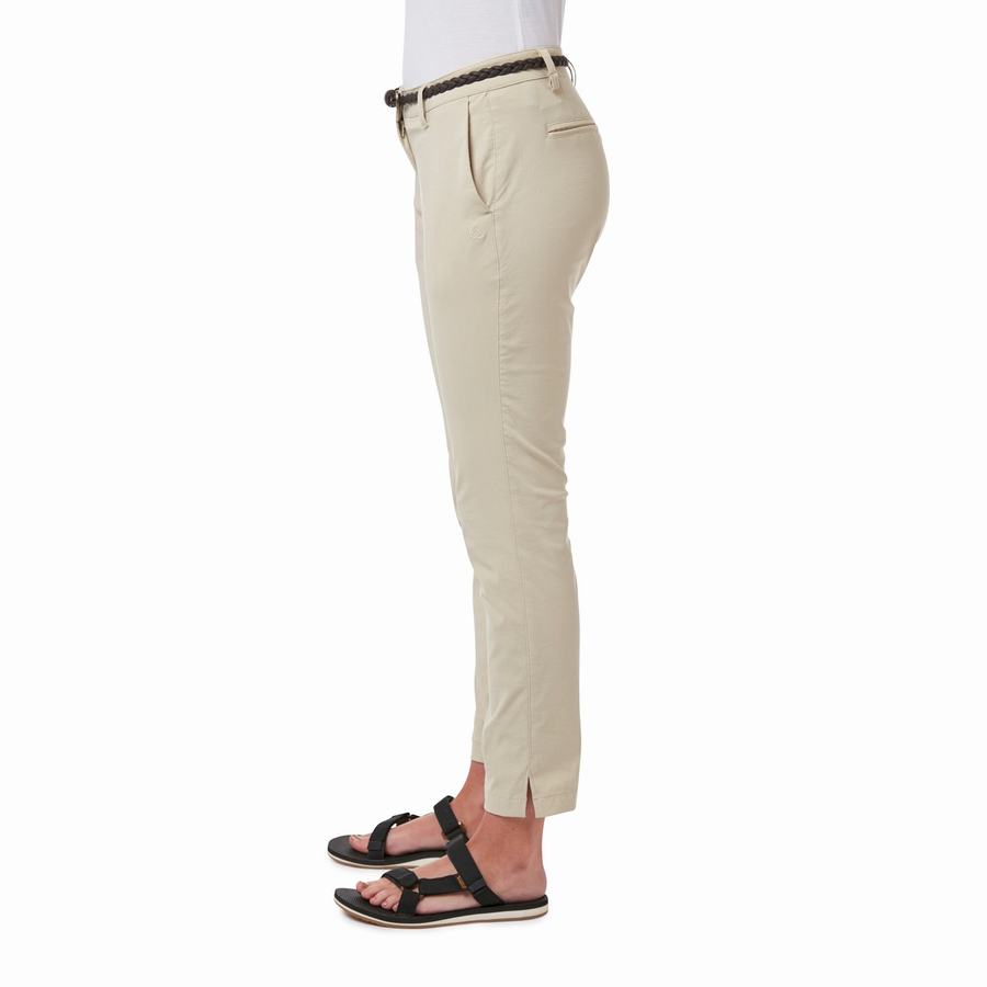 Brown Craghoppers NosiLife Briar Women's Trousers | TLV7023DZ