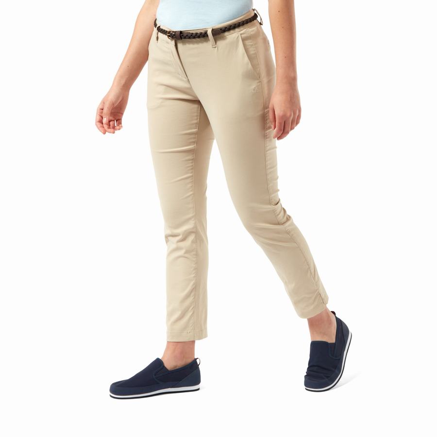 Brown Craghoppers NosiLife Briar Women's Trousers | VRQ6618HE