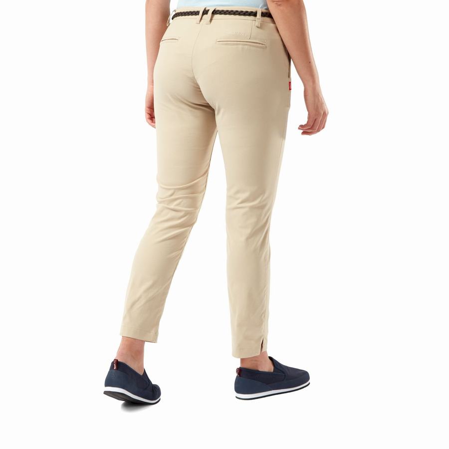 Brown Craghoppers NosiLife Briar Women's Trousers | VRQ6618HE