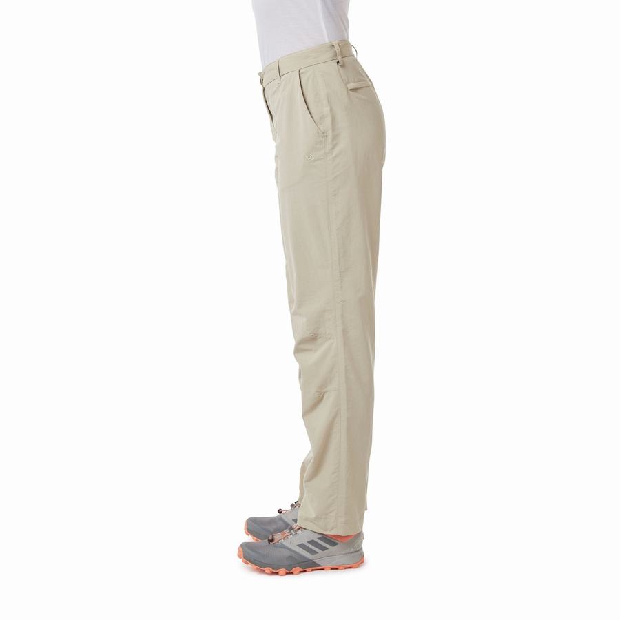 Brown Craghoppers NosiLife III Women's Trousers | LMZ9045EP