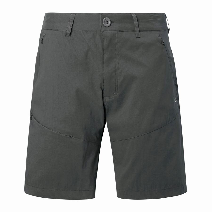 Dark Grey Craghoppers Kiwi Pro Men's Shorts | AVT637JZ