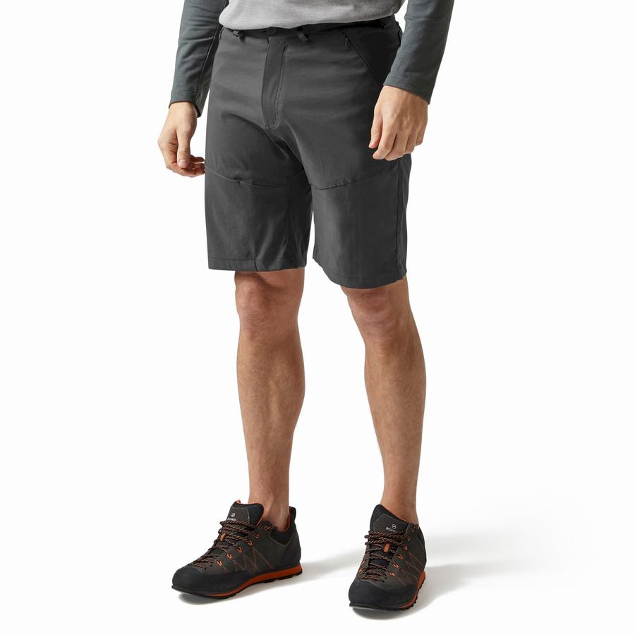 Dark Grey Craghoppers Kiwi Pro Men's Shorts | AVT637JZ