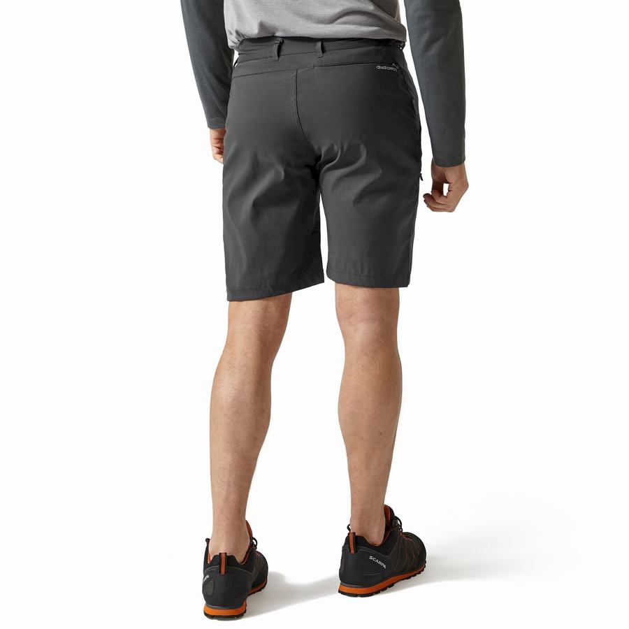 Dark Grey Craghoppers Kiwi Pro Men's Shorts | AVT637JZ