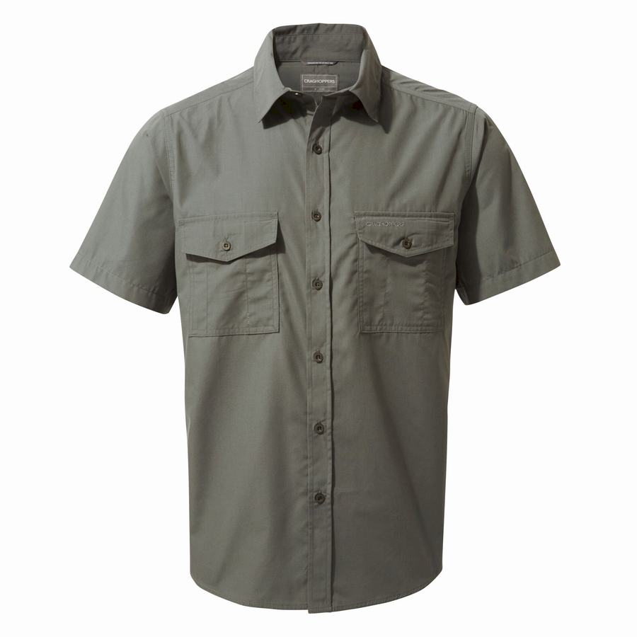 Dark Grey Craghoppers Kiwi Short Sleeved Men's Shirts | ZHI6648CO