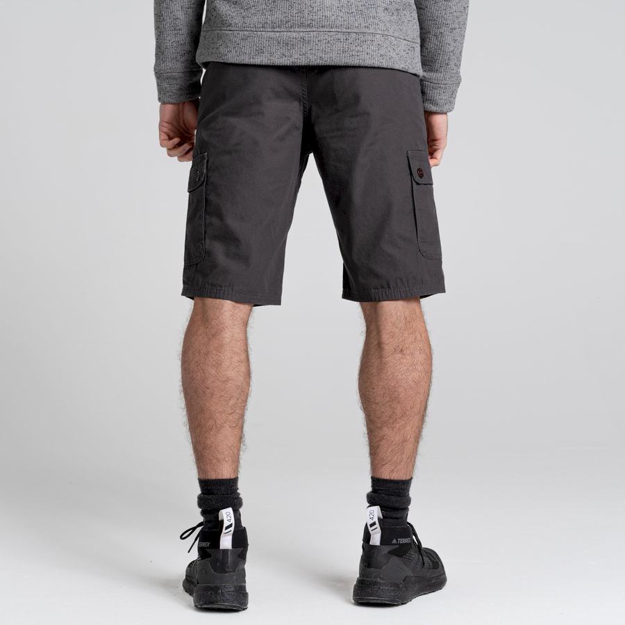 Dark Grey Craghoppers Thallon Men's Shorts | TTR1949PZ