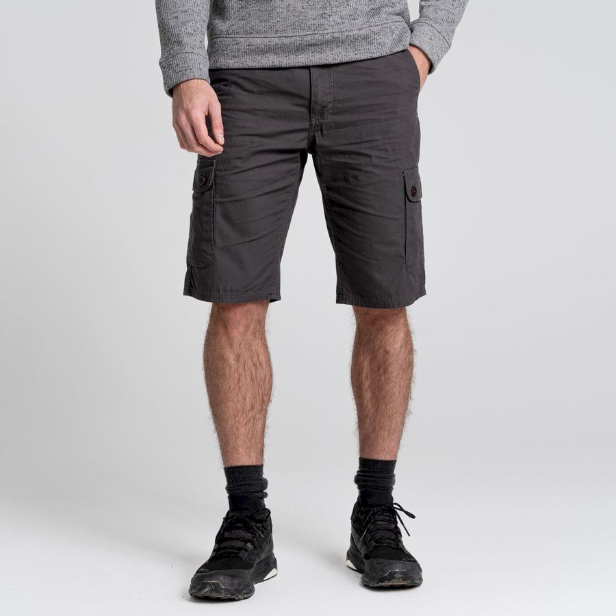 Dark Grey Craghoppers Thallon Men's Shorts | TTR1949PZ