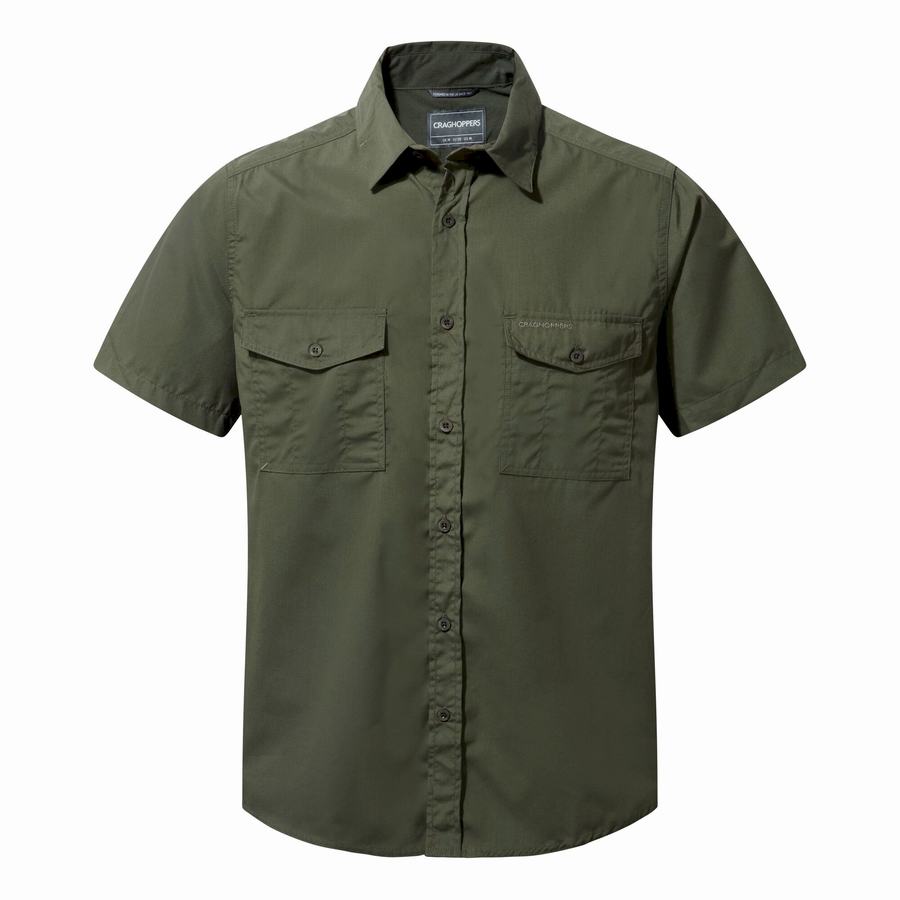 Deep Green Craghoppers Kiwi Short Sleeved Men's Shirts | FBZ424MX