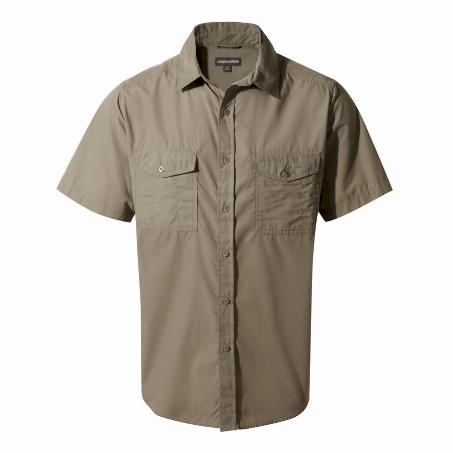 Deep Green Craghoppers Kiwi Short Sleeved Men's Shirts | ORT4123MB