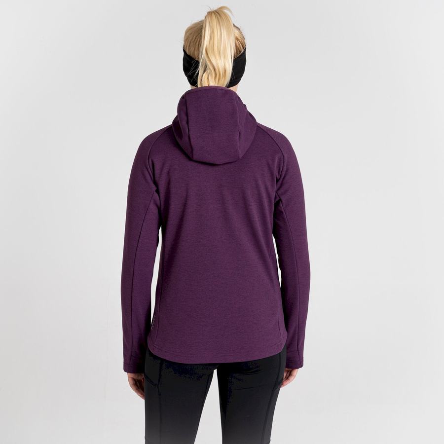 Deep Purple Craghoppers Dynamic Pro Hooded Women's Sweaters | PKI9488HE