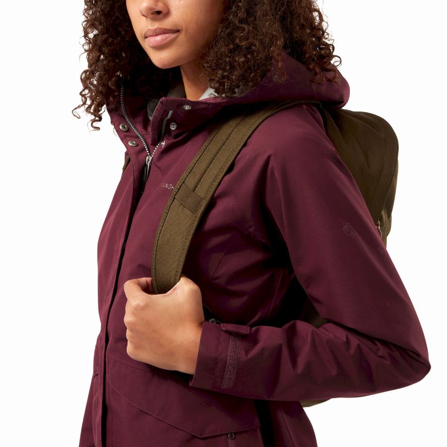 Deep Red Craghoppers Ellis GORE-TEX Women's Jackets | BSJ7553ZL