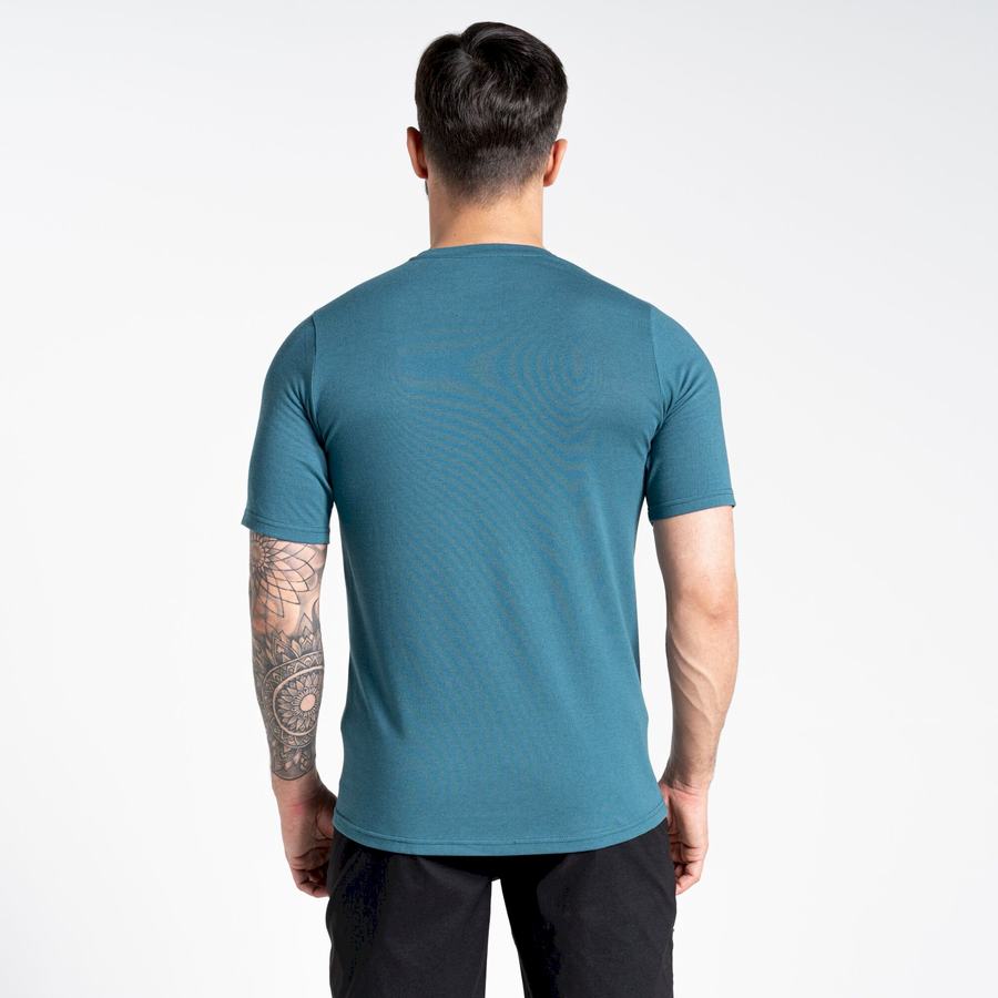 Green Craghoppers Dynamic Short Sleeved Men's T-Shirts | AVL160LG