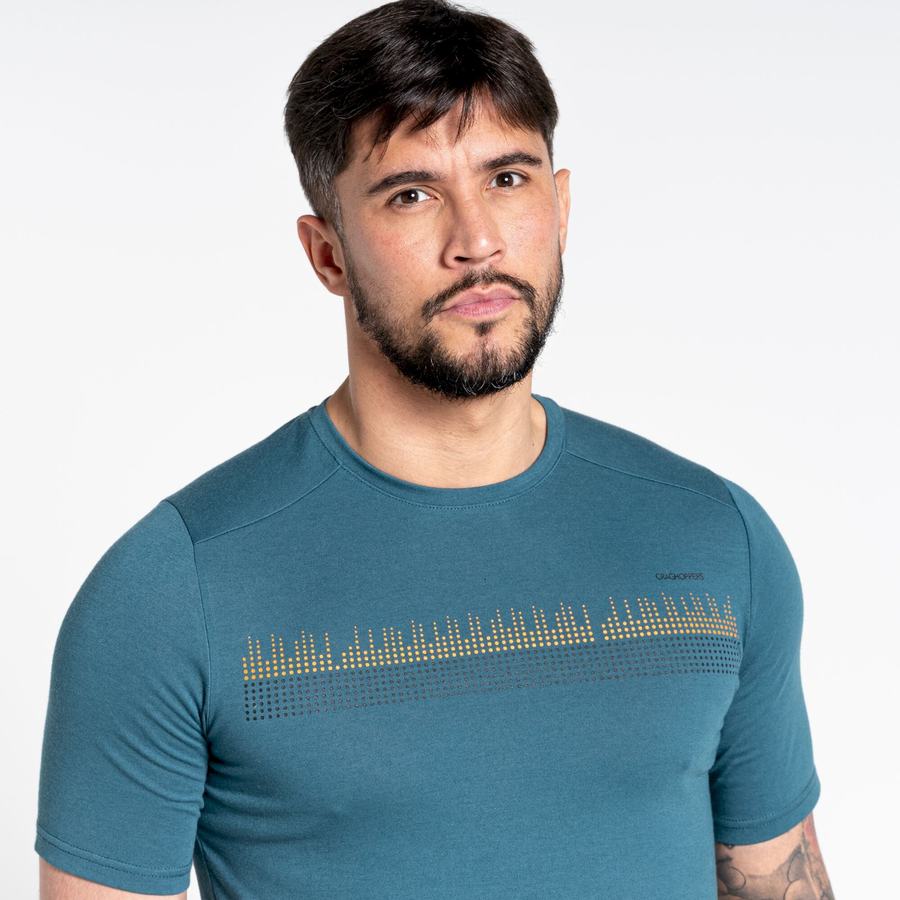 Green Craghoppers Dynamic Short Sleeved Men's T-Shirts | AVL160LG