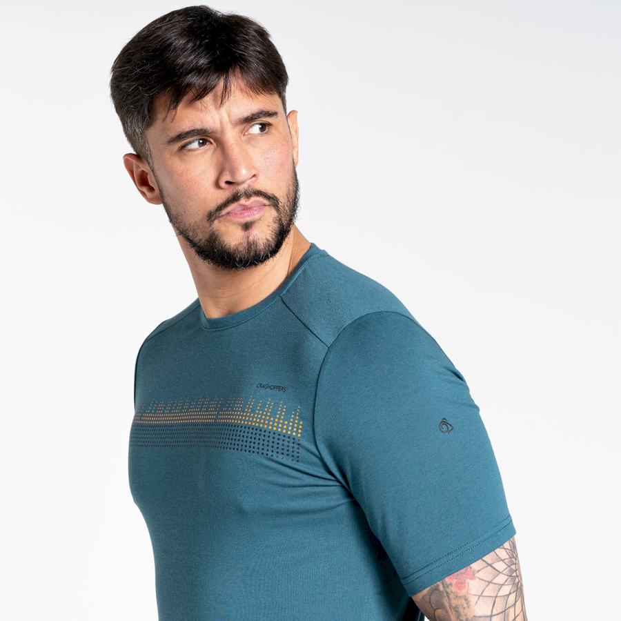 Green Craghoppers Dynamic Short Sleeved Men's T-Shirts | AVL160LG