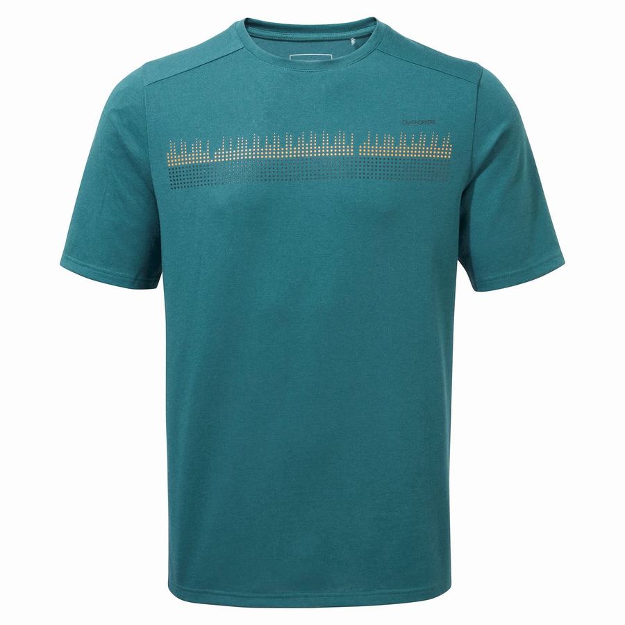 Green Craghoppers Dynamic Short Sleeved Men's T-Shirts | AVL160LG