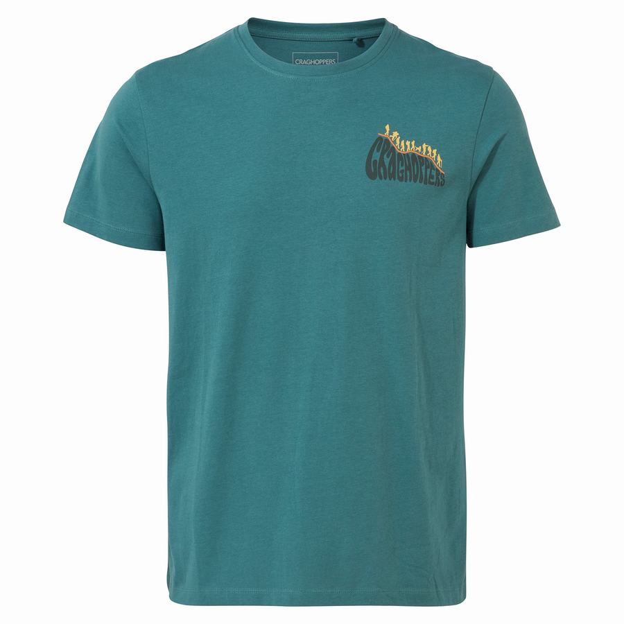 Green Craghoppers Lugo Short Sleeved Men's T-Shirts | LHT2837YE