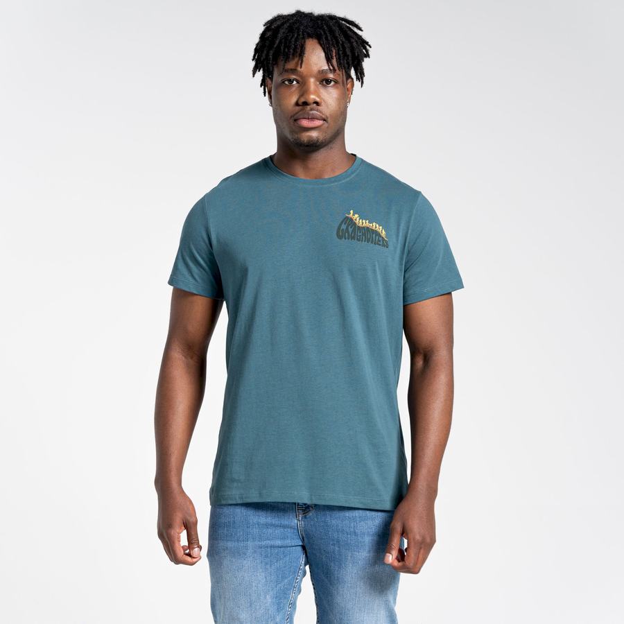 Green Craghoppers Lugo Short Sleeved Men's T-Shirts | LHT2837YE