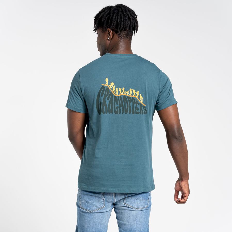 Green Craghoppers Lugo Short Sleeved Men's T-Shirts | LHT2837YE