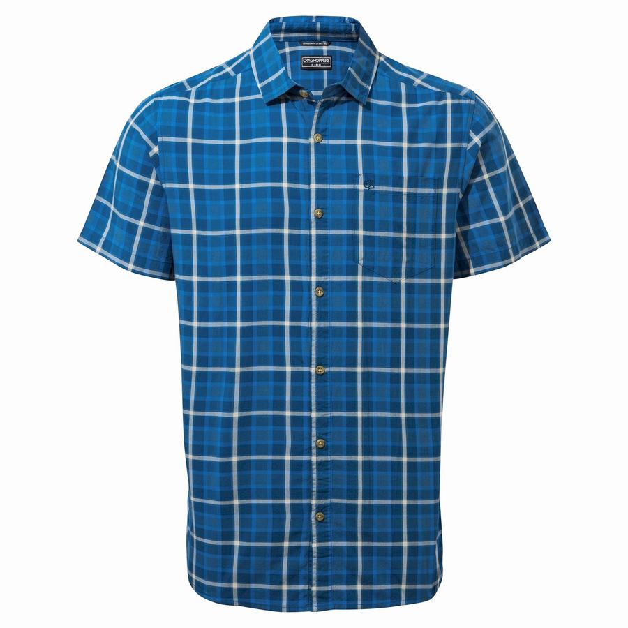 Green Craghoppers Menlo Short Sleeved Men\'s Shirts | ONS1716SS