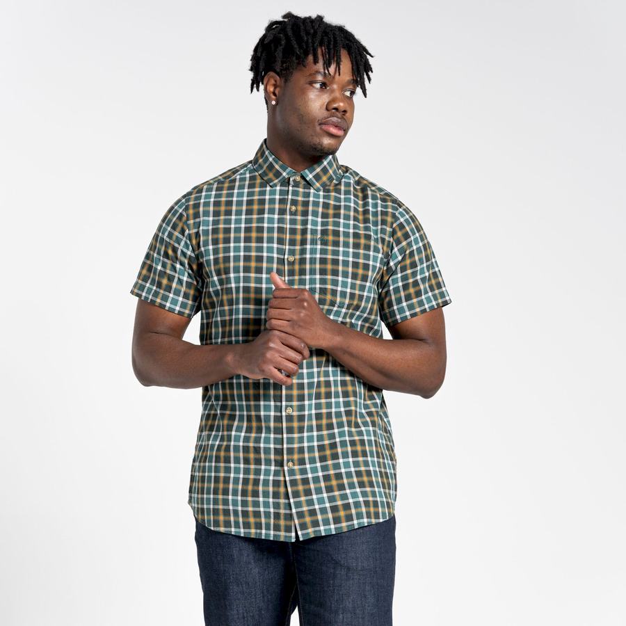 Green Craghoppers Menlo Short Sleeved Men's Shirts | PHR477BW