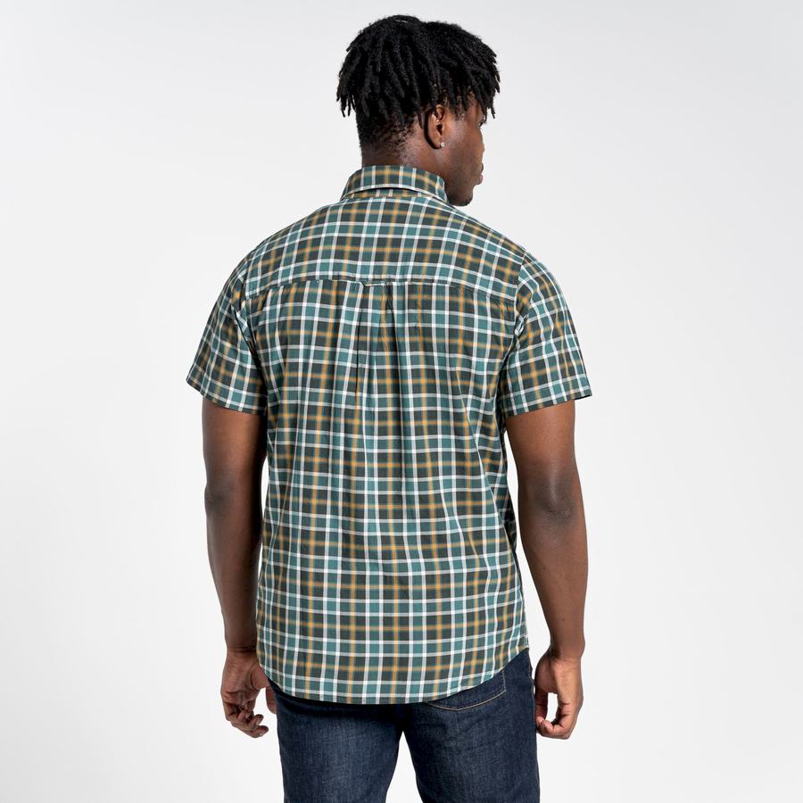 Green Craghoppers Menlo Short Sleeved Men's Shirts | PHR477BW