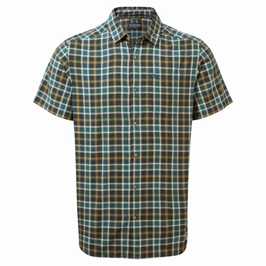 Green Craghoppers Menlo Short Sleeved Men's Shirts | PHR477BW