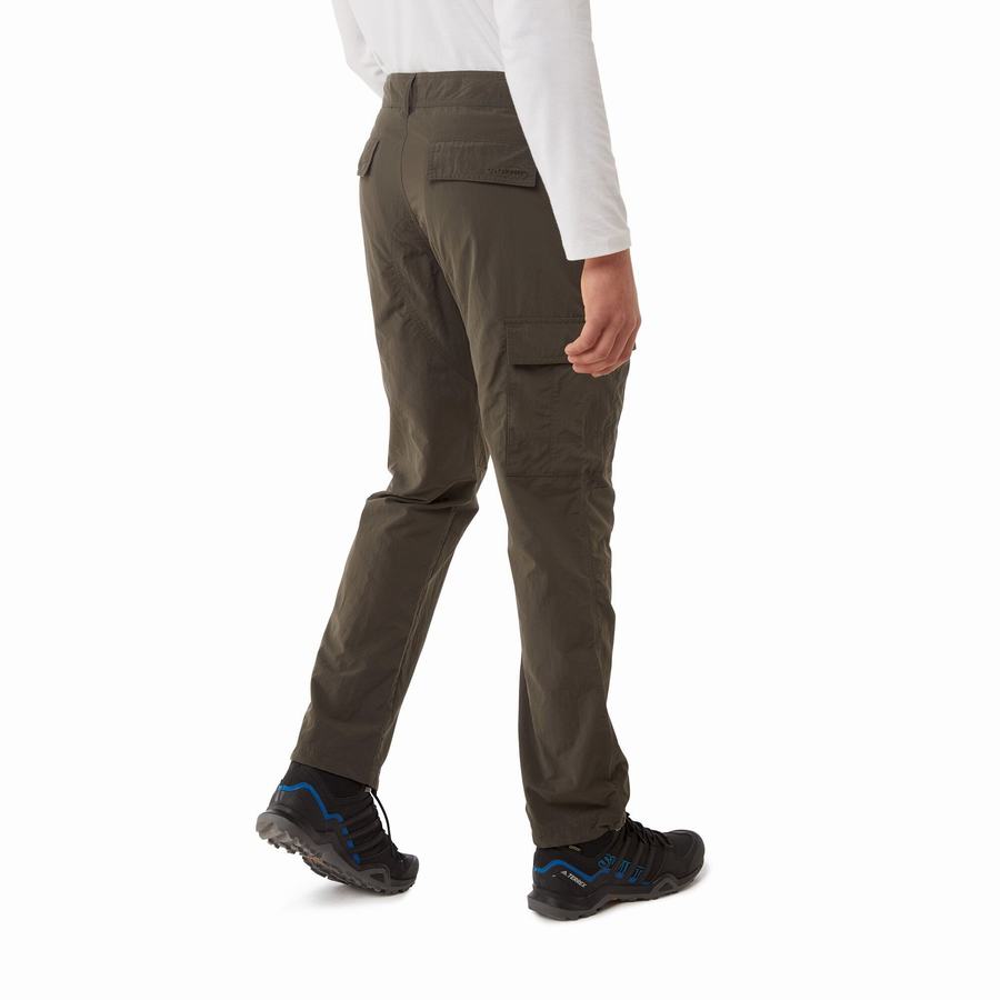 Green Craghoppers NosiLife Branco Men's Trousers | GEN2533BU