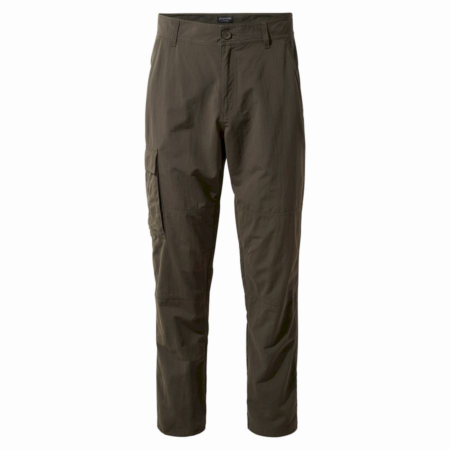 Green Craghoppers NosiLife Branco Men's Trousers | GEN2533BU