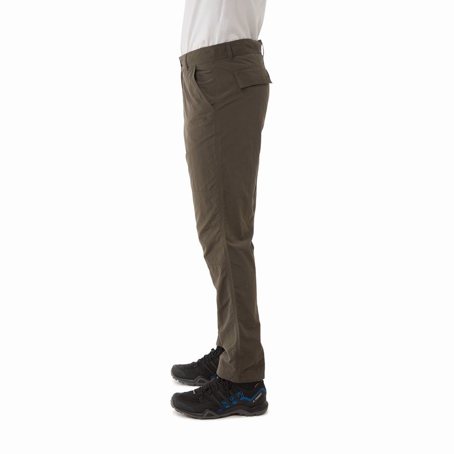 Green Craghoppers NosiLife Branco Men's Trousers | GEN2533BU