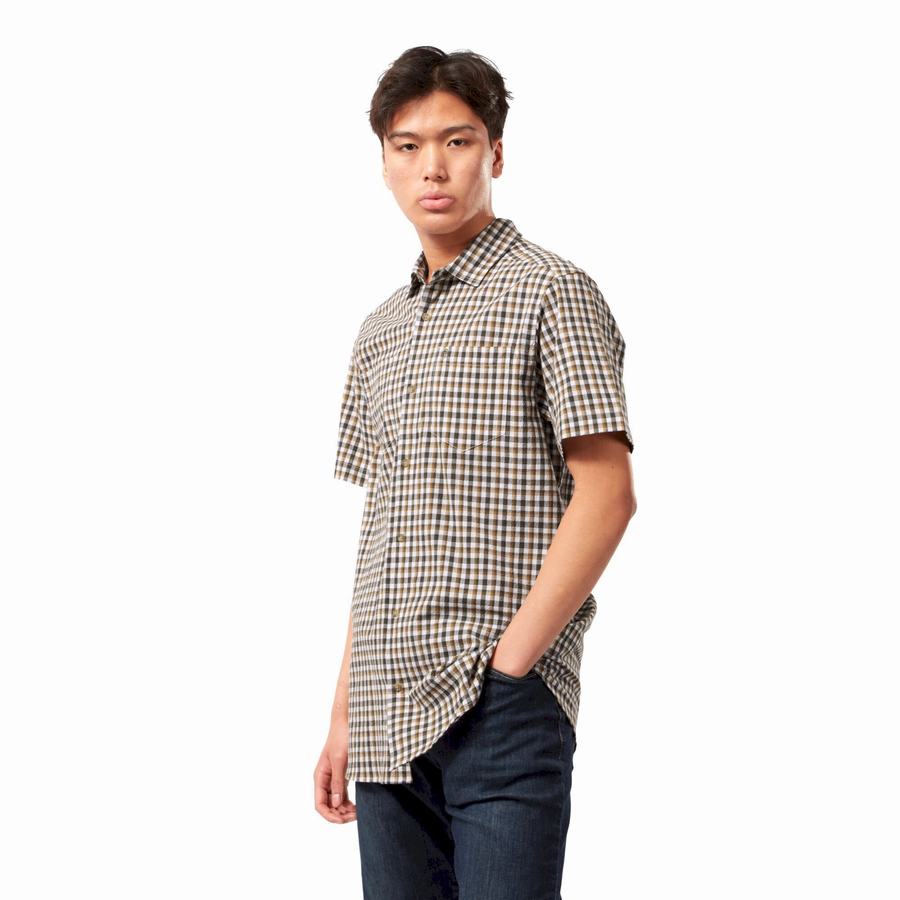 Green Craghoppers Nour Short Sleeved Check Men's Shirts | BYZ5992DO