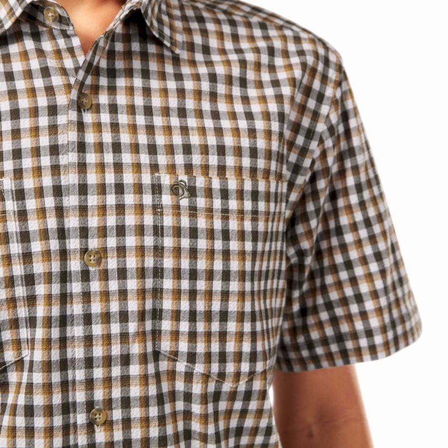 Green Craghoppers Nour Short Sleeved Check Men's Shirts | BYZ5992DO