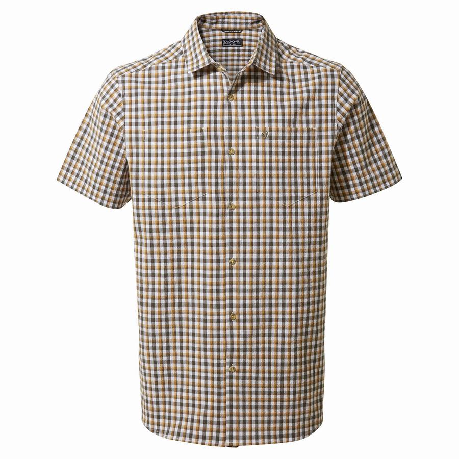 Green Craghoppers Nour Short Sleeved Check Men\'s Shirts | BYZ5992DO