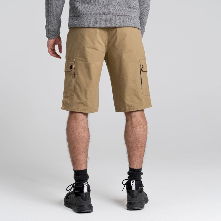 Green Craghoppers Thallon Men's Shorts | YZQ11JB