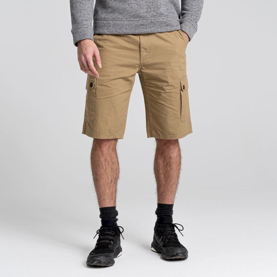 Green Craghoppers Thallon Men's Shorts | YZQ11JB