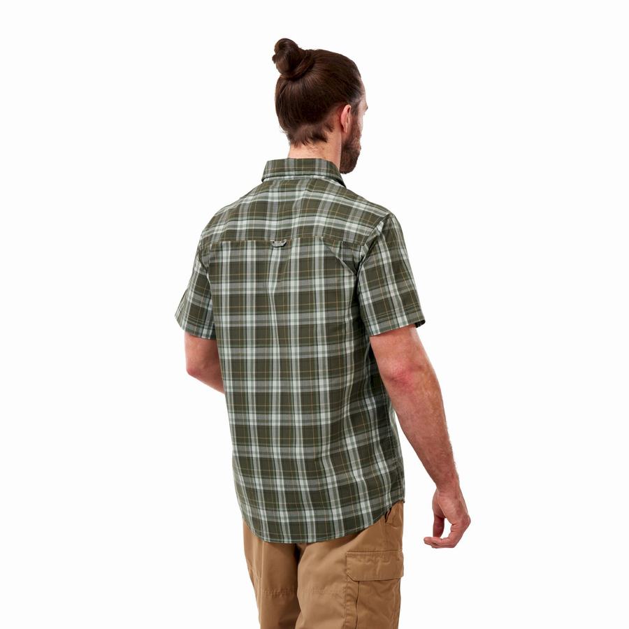 Green Craghoppers Vernon Short Sleeved Men's Shirts | CDW8740TE