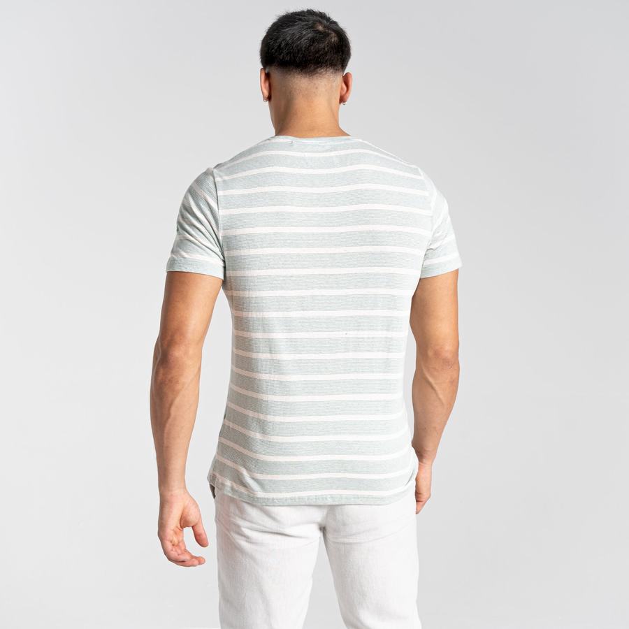 Green Stripes Craghoppers Nosibotanical Sten Short Sleeved Men's T-Shirts | QZE6091TJ